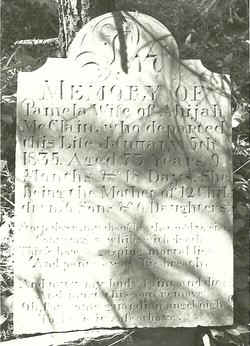 6507608_128637395429.jpg (33003 bytes)