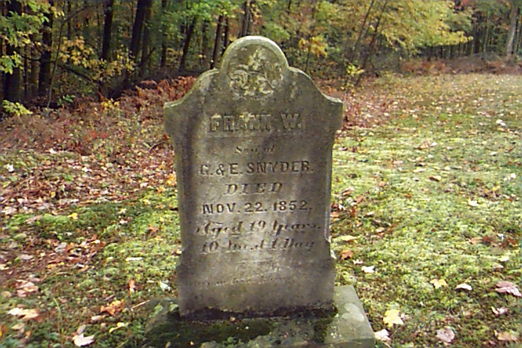 FrankSnyder.jpg (165293 bytes)