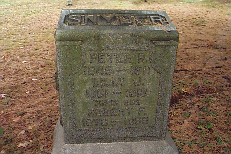 PeterR.jpg (139326 bytes)