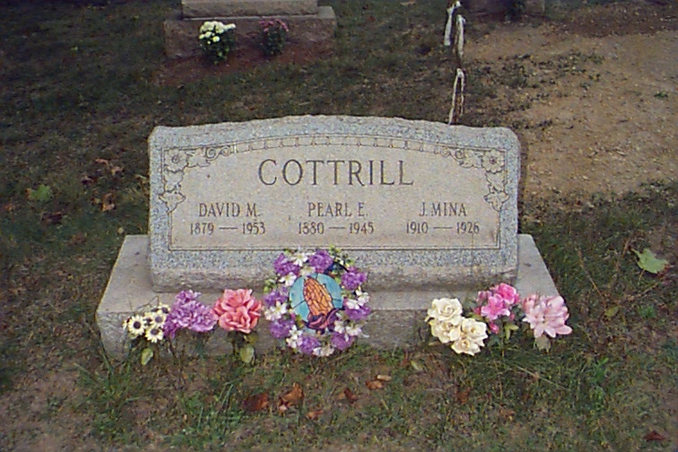 davidm.jpg (125218 bytes)